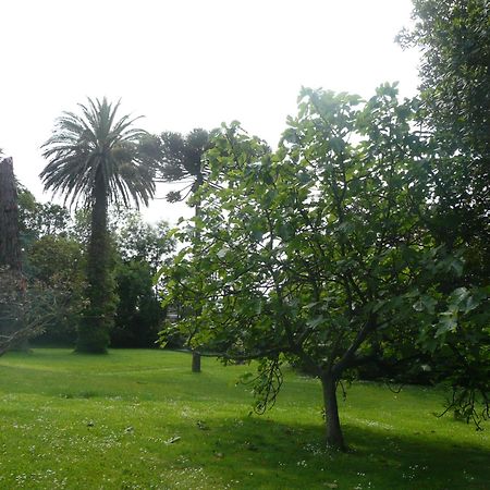 Las Carolinas Garden Santender Kültér fotó