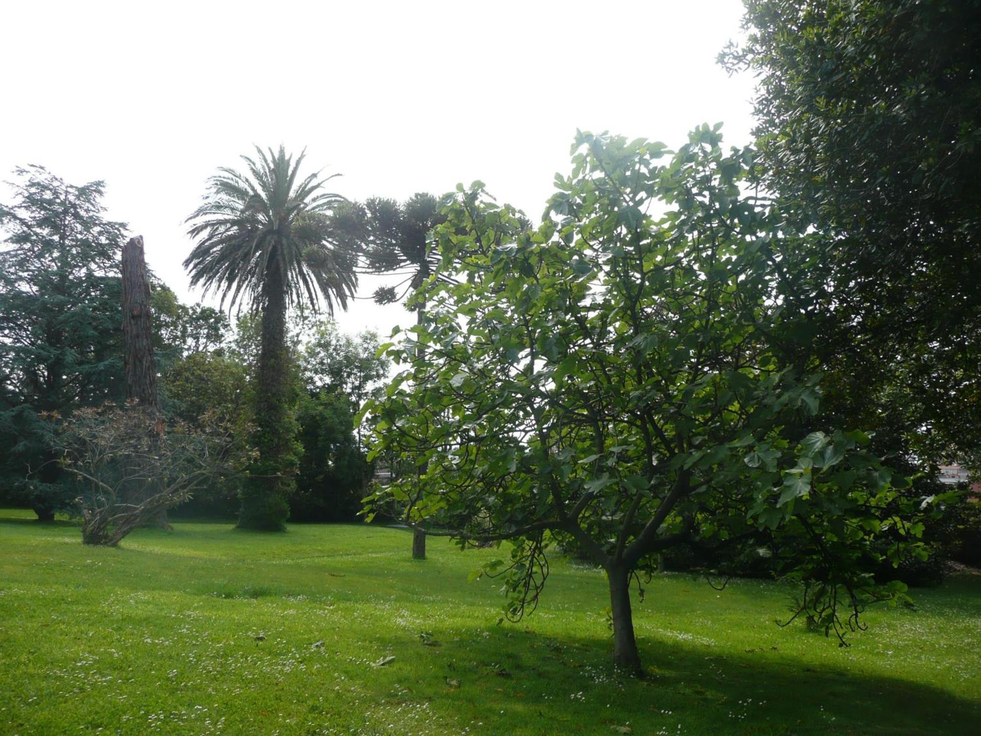 Las Carolinas Garden Santender Kültér fotó